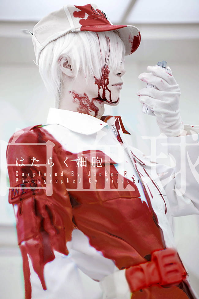 工作细胞 白血球 cosplay