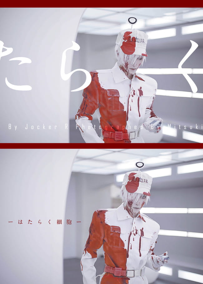 工作细胞 白血球 cosplay