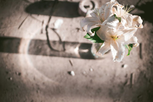 我的英雄学院 荼毘 轰焦冻 cosplay