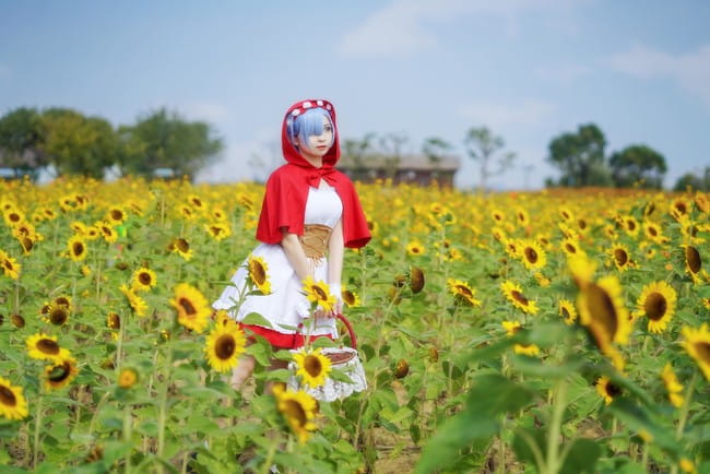 【cos正片】蕾姆小红帽cos