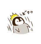 灰企鹅ぺんちゃん表情包下载