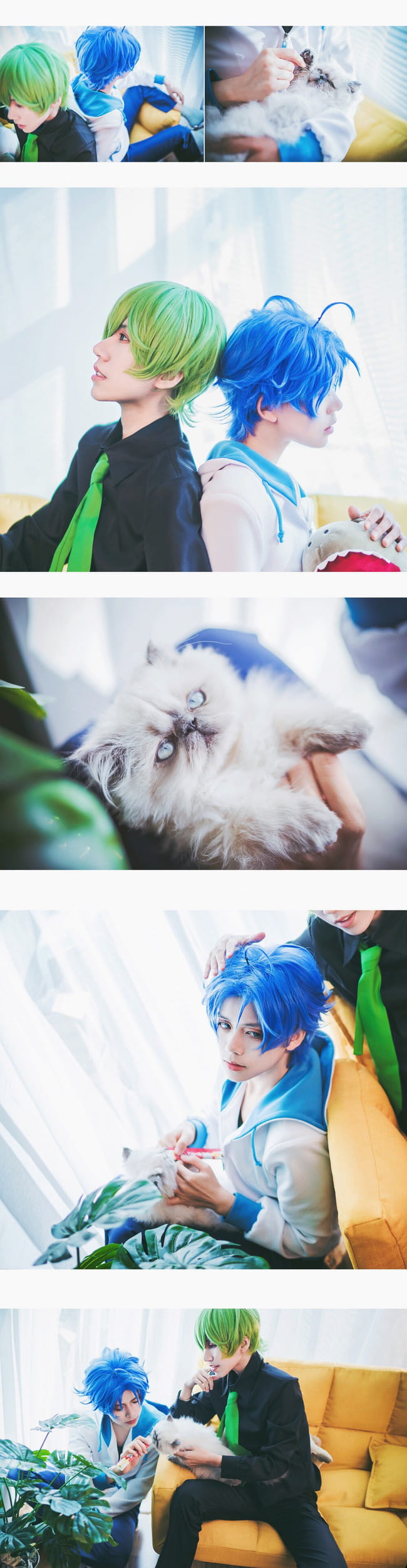 【cos正片】小绿和小蓝