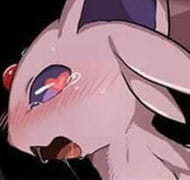 精灵宝可梦 伊布 皮卡丘 表情包