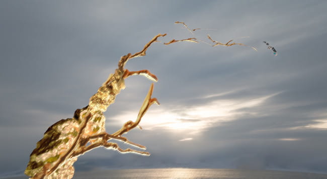 宝石之国 冬巡组 安特库 法斯 肉丝 南极石 cosplay