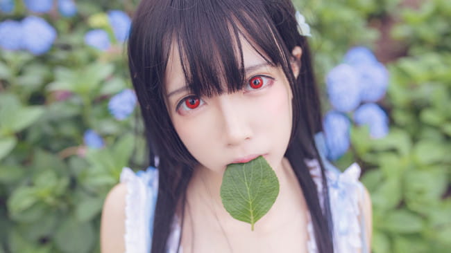 【cos正片】散华礼弥cos