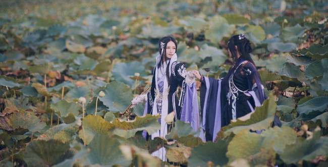 剑侠情缘网络版叁 万花 双花 cosplay