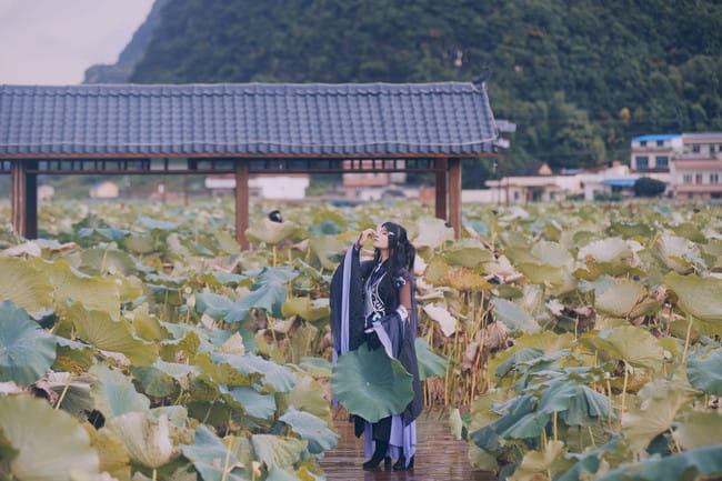 剑侠情缘网络版叁 万花 双花 cosplay