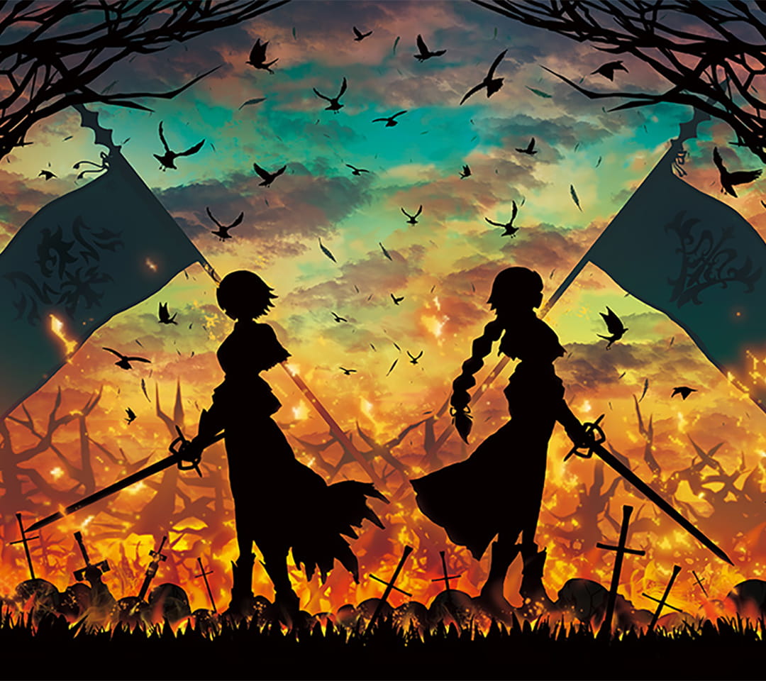 贞德电脑壁纸第二期fgo(1)