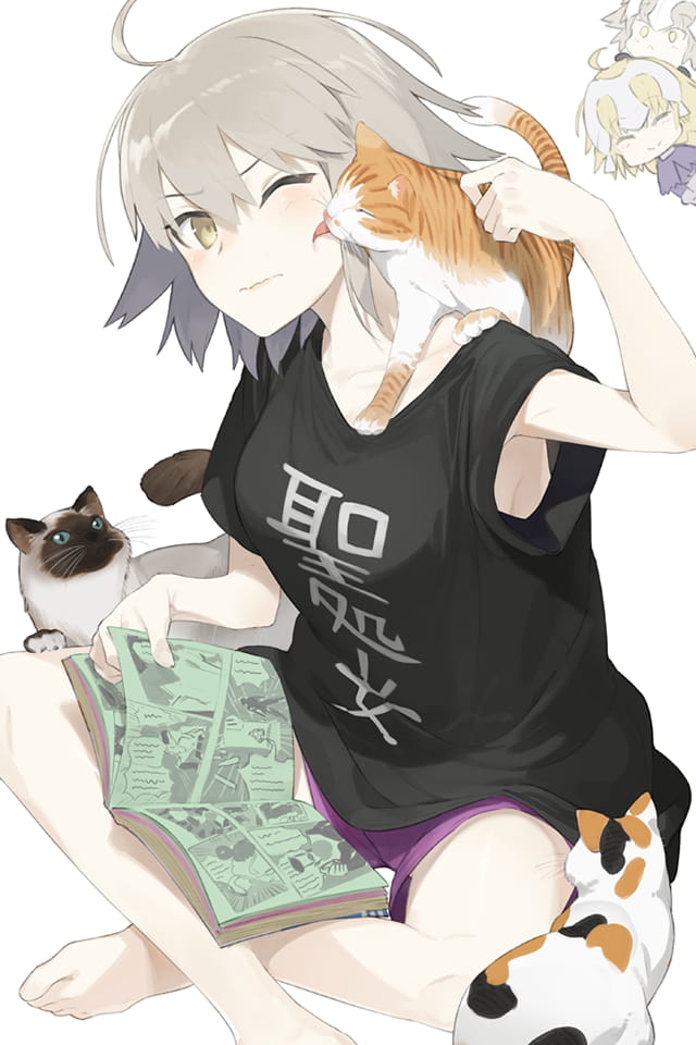 fgo手机壁纸第六期贞德(1)