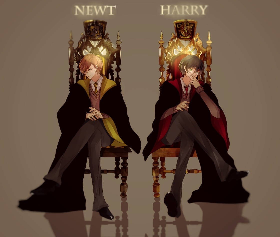 《神奇动物在哪里》同人原图高清壁纸(1)