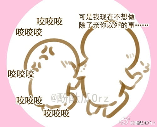 酚酞瓜Orz的第七期表情