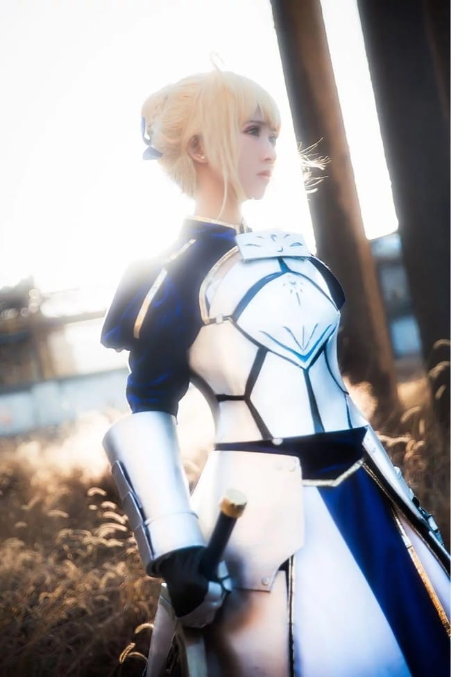 Fate/Stay Night 御姐 萝莉 美如画 cosplay