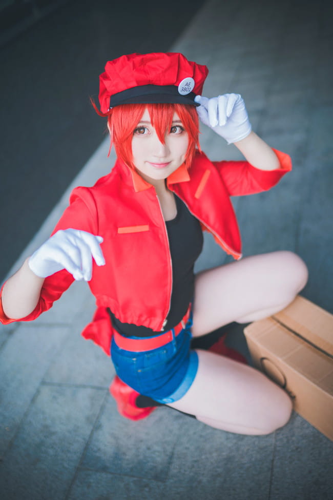 【cos正片】工作细胞 红细胞cos