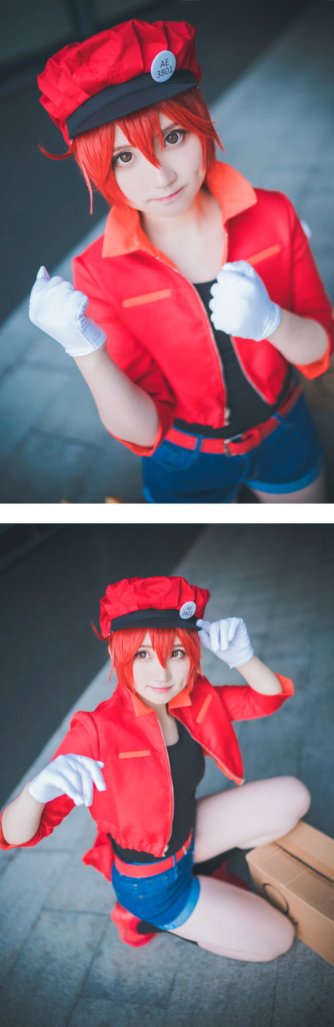 【cos正片】工作细胞 红细胞cos