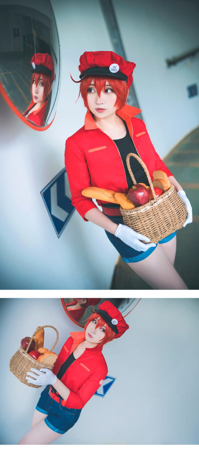 【cos正片】工作细胞 红细胞cos