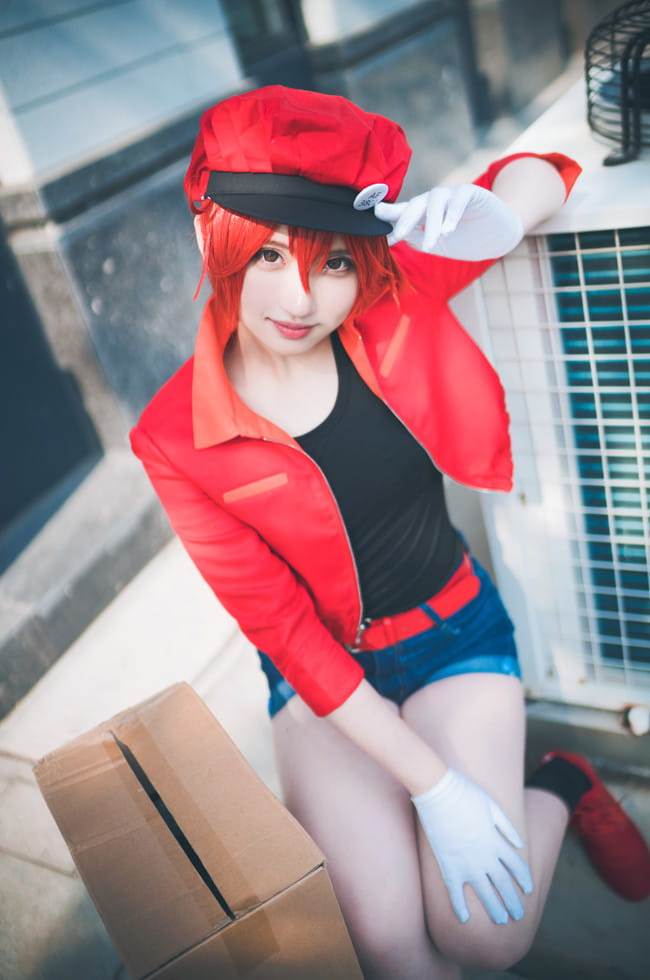 【cos正片】工作细胞 红细胞cos