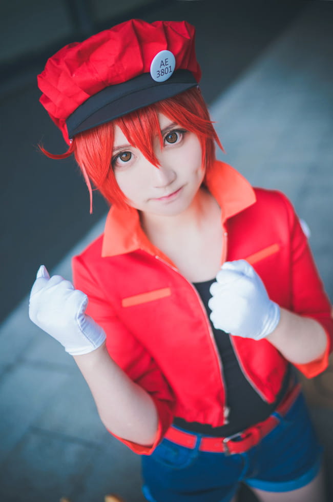 【cos正片】工作细胞 红细胞cos