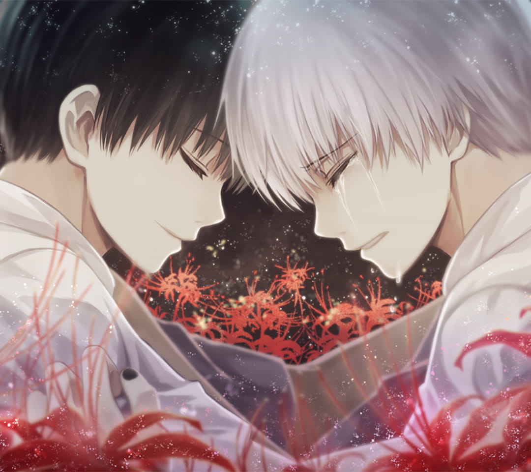 东京搜查官金木研电脑壁纸(1)