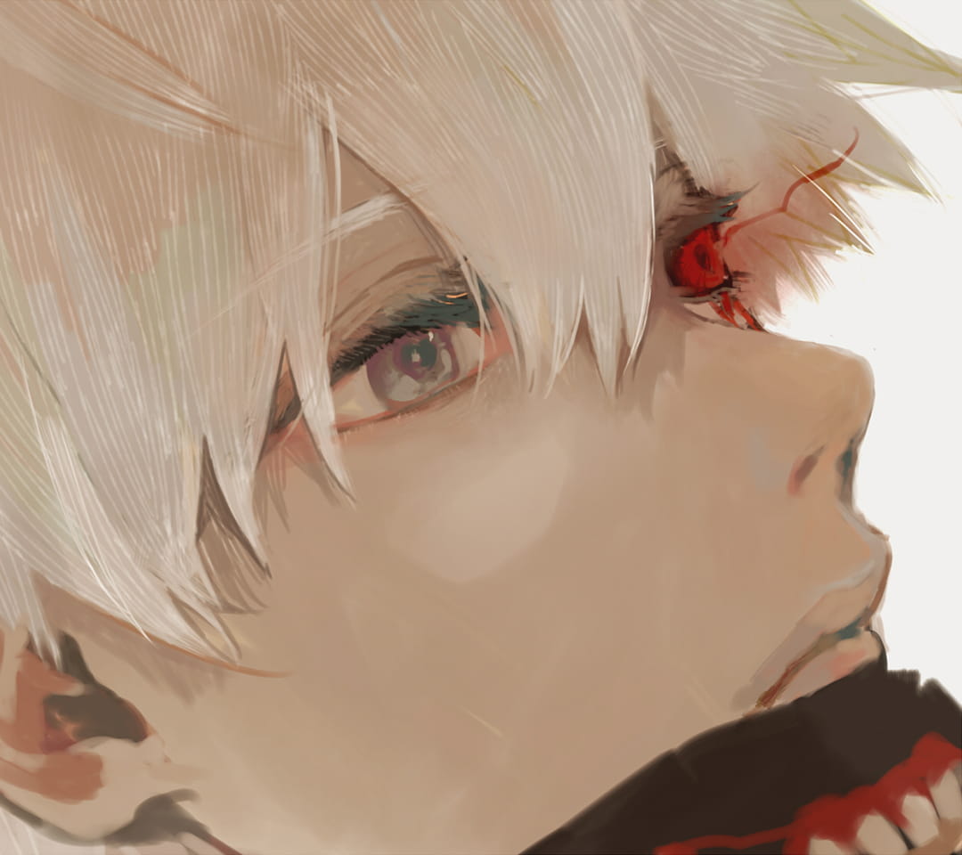 东京搜查官金木研电脑壁纸(1)