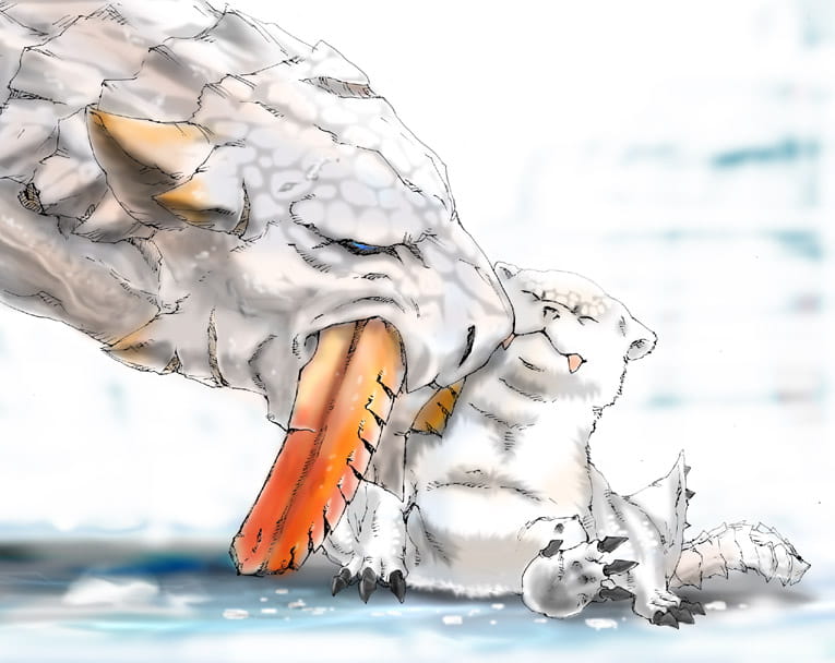 狩猎时间到了  怪物猎人电脑壁纸(1)