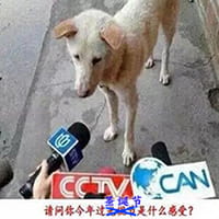 沙雕圣诞表情包 一点也不萌的表情包