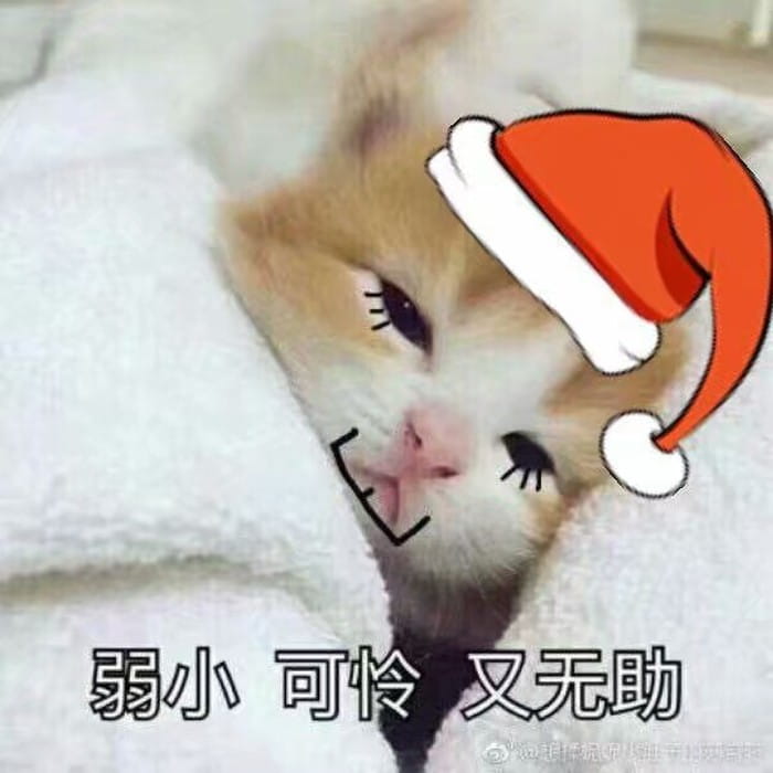 请问您今年圣诞怎么过？ 单身表情包