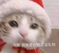 请问您今年圣诞怎么过？ 单身表情包