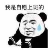 我是自愿的 熊猫表情包