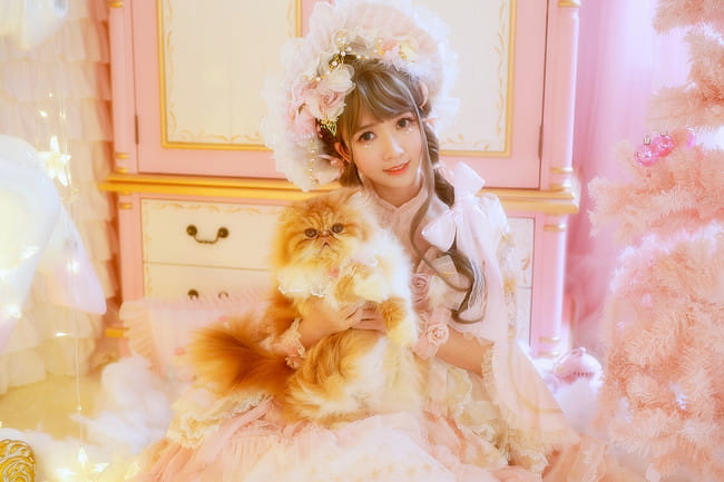 我也是有猫的人了～ 圣诞贺图(1)