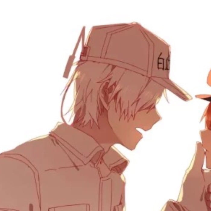 不是悠闲...她应该是不知情吧 工作细胞情侣头像