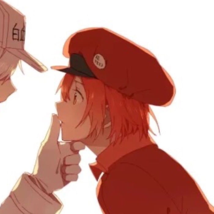 不是悠闲...她应该是不知情吧 工作细胞情侣头像