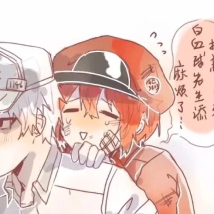 不是悠闲...她应该是不知情吧 工作细胞情侣头像