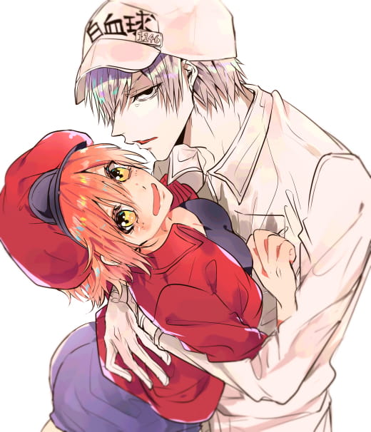 这是今日份的氧气~ 工作细胞手机壁纸(1)