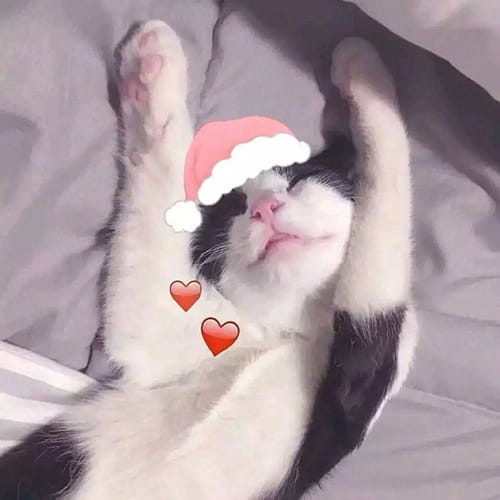 喜欢才不需要欲擒故纵 卡通动漫qq情侣头像