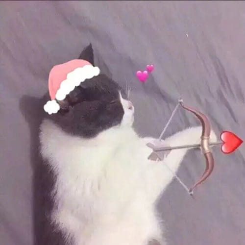 喜欢才不需要欲擒故纵 卡通动漫qq情侣头像