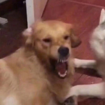 你看这个人 嘴里说喜欢我 又让我难过 ​​​​ 卡通动漫qq情侣头像