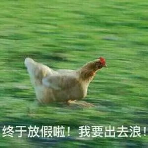 放假啦！！ 放假表情包