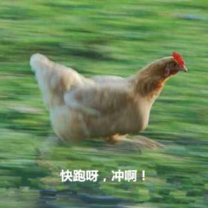 放假啦！！ 放假表情包