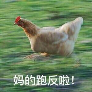 放假啦！！ 放假表情包