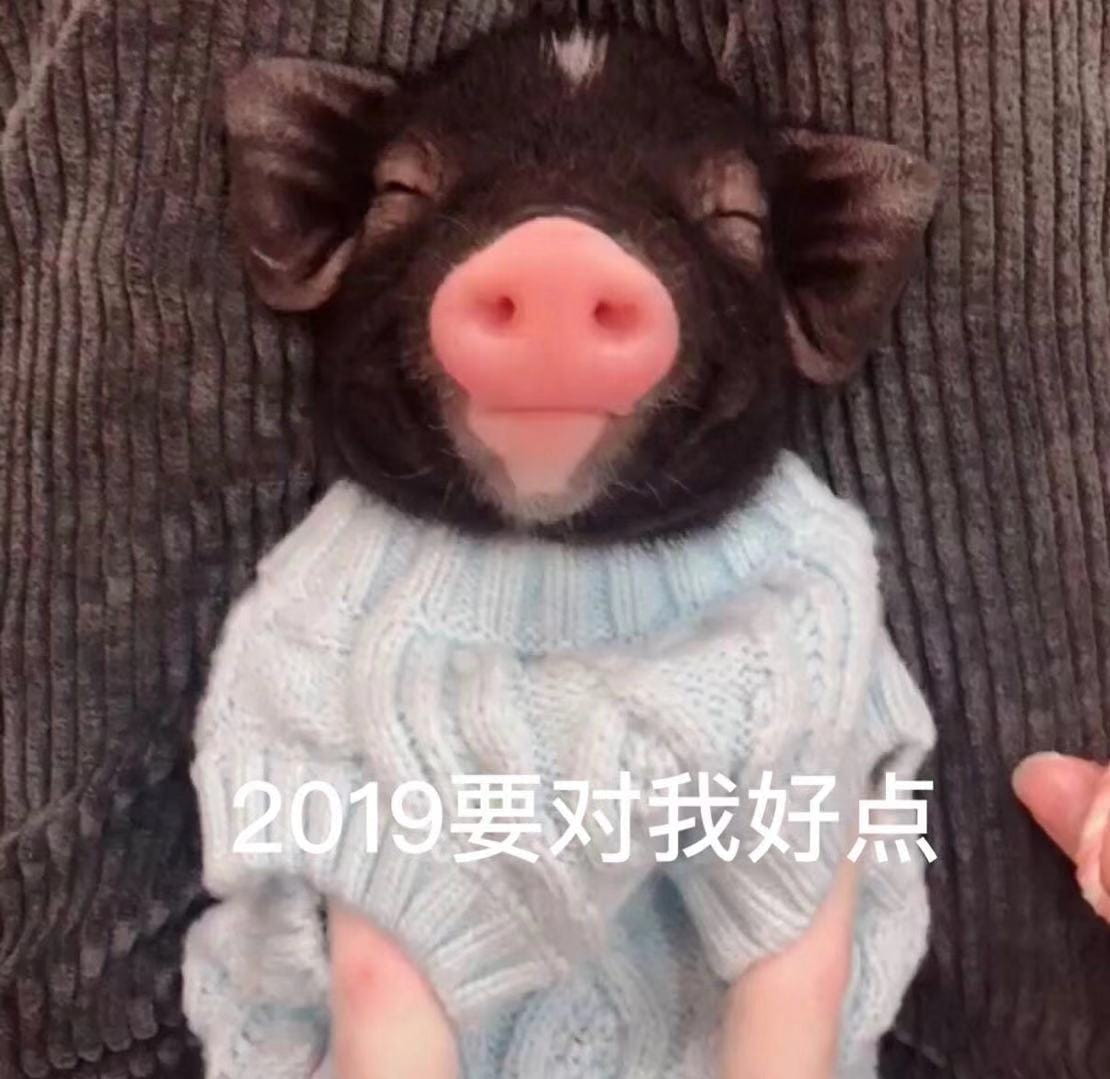 米娜桑 2019 快乐 2019表情包