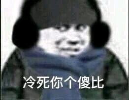 实在是太太太太太冷了 冬天寒冷表情包