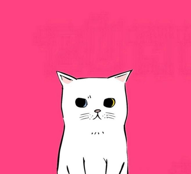 Passion 情侣头像