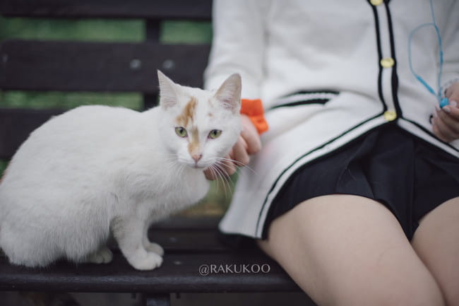 宝多六花 cosplay正片