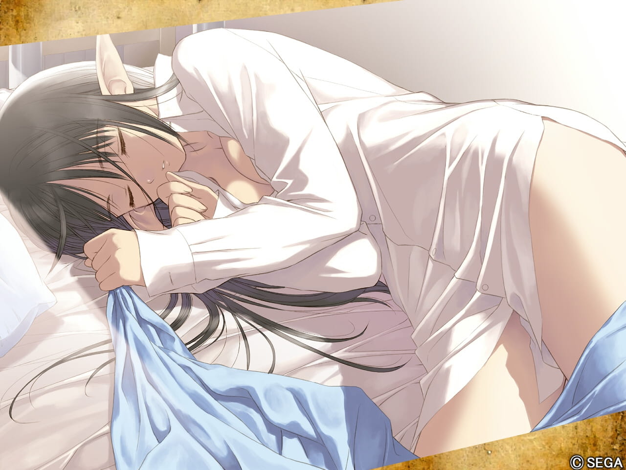 萌娘睡颜电脑壁纸(1)