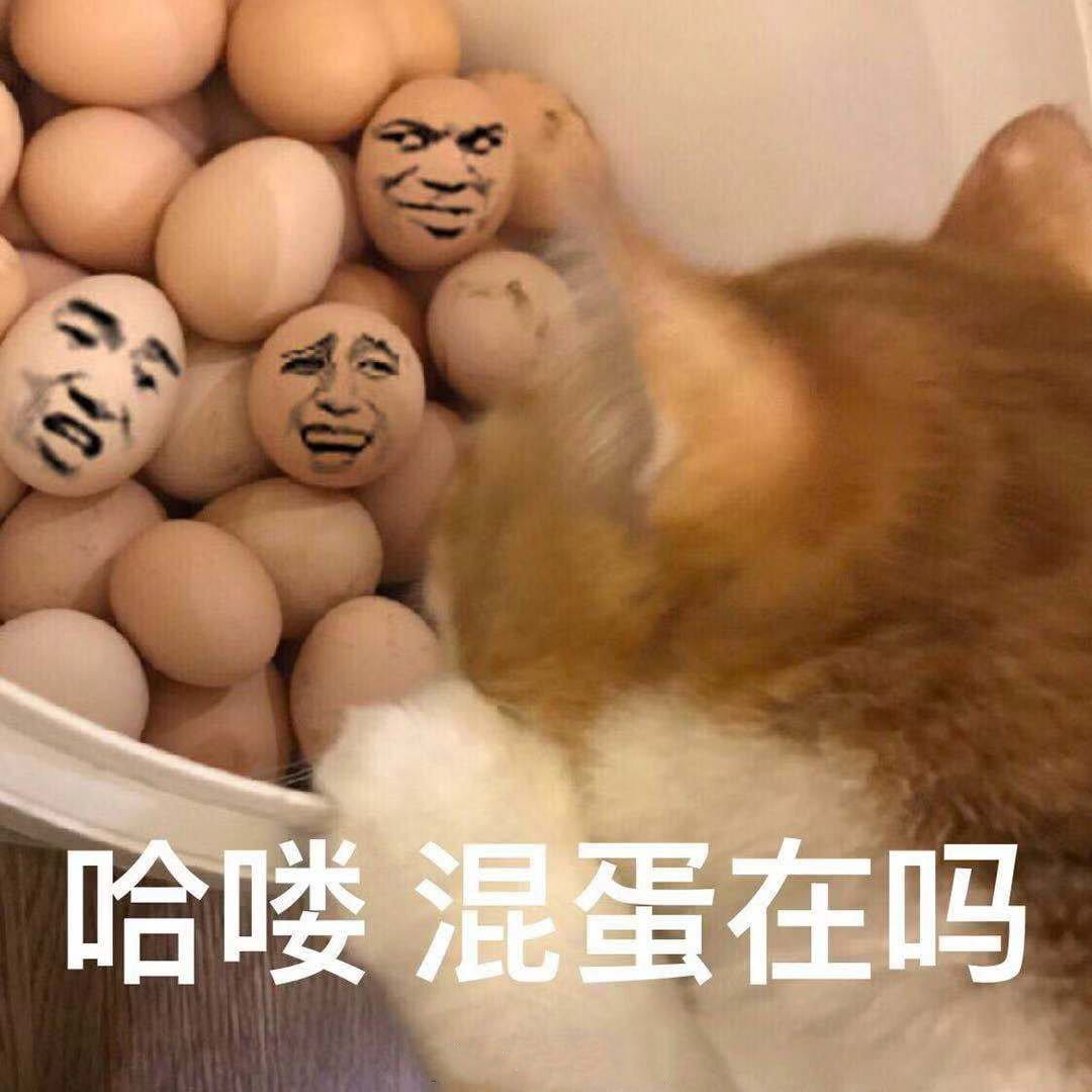 玩个蛋啊 沙雕表情包