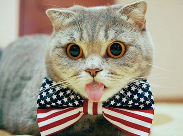 做鬼脸的表情包