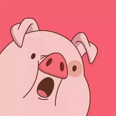 可爱的小猪头像