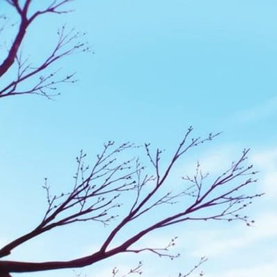 想回到过去 遇见你的那天 动漫卡通情侣头像