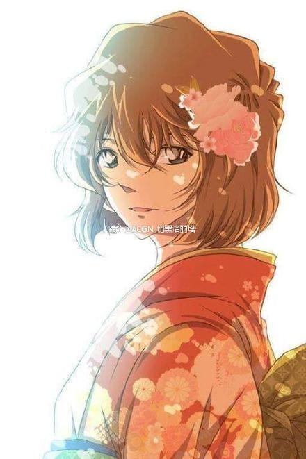 名侦探柯南壁纸