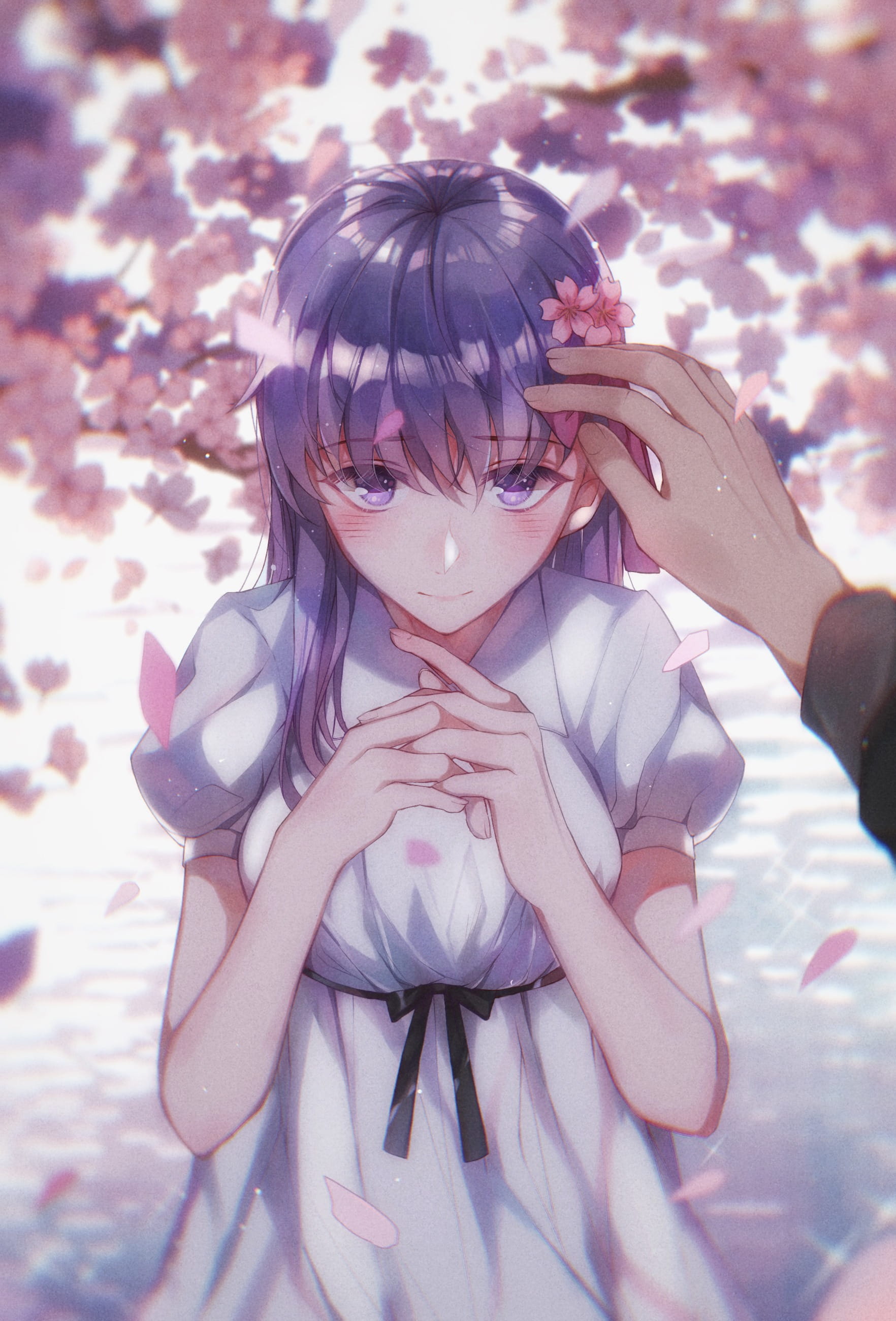 《FATE》系列 间桐樱 萌图壁纸下载(1)